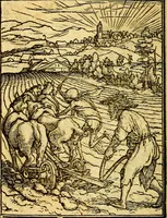 An illustration from Simolachri, historie, e figure de la morte. La medicina de l'anima [di Urbanus Rhegius] Il modo, e la via di consolar gl'infermi. Un sermone di San Cipriano, de la mortalità. Due orationi, l'una à Dio, e l'altra à Christo. Un sermone di D. Giovan Chrisostomo, che ci essorta à patienza. Aiuntovi de novo molte figure mai più stampate (1549)