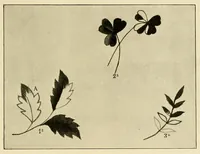 Picture 3 of 19 from Singer instructions for art embroidery (1911), leaf 17