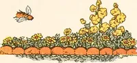Picture 50 of 81 from The singing circle; a picture book of action songs, other songs, and dances (1911), leaf 68