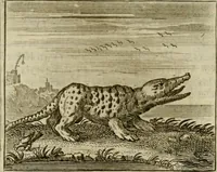 An illustration from Sinne- en minne-beelden ; Selfstryt ; Tooneel der mannelyke agtbaarheydt ; Galathea of Herderskalsgt ; Klagende maegden : en andere mengelrymen (1779)