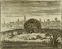 An illustration from Sinne- en minne-beelden ; Selfstryt ; Tooneel der mannelyke agtbaarheydt ; Galathea of Herderskalsgt ; Klagende maegden : en andere mengelrymen (1779)