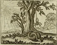 An illustration from Sinne- en minne-beelden ; Selfstryt ; Tooneel der mannelyke agtbaarheydt ; Galathea of Herderskalsgt ; Klagende maegden : en andere mengelrymen (1779)