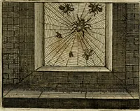 An illustration from Sinne- en minne-beelden ; Selfstryt ; Tooneel der mannelyke agtbaarheydt ; Galathea of Herderskalsgt ; Klagende maegden : en andere mengelrymen (1779)