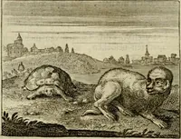 An illustration from Sinne- en minne-beelden ; Selfstryt ; Tooneel der mannelyke agtbaarheydt ; Galathea of Herderskalsgt ; Klagende maegden : en andere mengelrymen (1779)