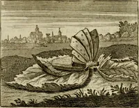 An illustration from Sinne- en minne-beelden ; Selfstryt ; Tooneel der mannelyke agtbaarheydt ; Galathea of Herderskalsgt ; Klagende maegden : en andere mengelrymen (1779)
