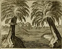 An illustration from Sinne- en minne-beelden ; Selfstryt ; Tooneel der mannelyke agtbaarheydt ; Galathea of Herderskalsgt ; Klagende maegden : en andere mengelrymen (1779)