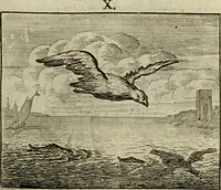 An illustration from Sinne- en minne-beelden ; Selfstryt ; Tooneel der mannelyke agtbaarheydt ; Galathea of Herderskalsgt ; Klagende maegden : en andere mengelrymen (1779)