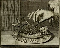 An illustration from Sinne- en minne-beelden ; Selfstryt ; Tooneel der mannelyke agtbaarheydt ; Galathea of Herderskalsgt ; Klagende maegden : en andere mengelrymen (1779)