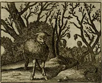 An illustration from Sinne- en minne-beelden ; Selfstryt ; Tooneel der mannelyke agtbaarheydt ; Galathea of Herderskalsgt ; Klagende maegden : en andere mengelrymen (1779)