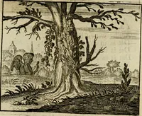 An illustration from Sinne- en minne-beelden ; Selfstryt ; Tooneel der mannelyke agtbaarheydt ; Galathea of Herderskalsgt ; Klagende maegden : en andere mengelrymen (1779)
