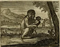 An illustration from Sinne- en minne-beelden ; Selfstryt ; Tooneel der mannelyke agtbaarheydt ; Galathea of Herderskalsgt ; Klagende maegden : en andere mengelrymen (1779)