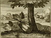 An illustration from Sinne- en minne-beelden ; Selfstryt ; Tooneel der mannelyke agtbaarheydt ; Galathea of Herderskalsgt ; Klagende maegden : en andere mengelrymen (1779)