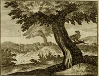 An illustration from Sinne- en minne-beelden ; Selfstryt ; Tooneel der mannelyke agtbaarheydt ; Galathea of Herderskalsgt ; Klagende maegden : en andere mengelrymen (1779)
