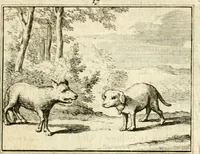 Picture 20 of 140 from Sinryke fabulen : verklaart en toegepast tot alderley zeede-lessen, dienstig om waargenoomen te werden in het menschelijke en burgerlijke leeven (1685), leaf 106