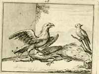 An illustration from Sinryke fabulen : verklaart en toegepast tot alderley zeede-lessen, dienstig om waargenoomen te werden in het menschelijke en burgerlijke leeven (1685)