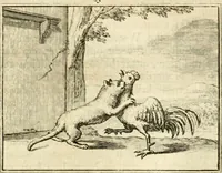 Picture 26 of 140 from Sinryke fabulen : verklaart en toegepast tot alderley zeede-lessen, dienstig om waargenoomen te werden in het menschelijke en burgerlijke leeven (1685), leaf 134