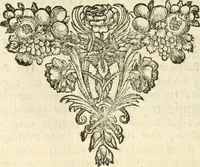 An illustration from Sinryke fabulen : verklaart en toegepast tot alderley zeede-lessen, dienstig om waargenoomen te werden in het menschelijke en burgerlijke leeven (1685)