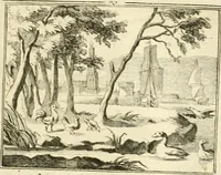 An illustration from Sinryke fabulen : verklaart en toegepast tot alderley zeede-lessen, dienstig om waargenoomen te werden in het menschelijke en burgerlijke leeven (1685)