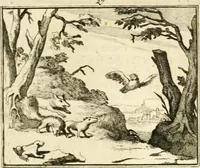 An illustration from Sinryke fabulen : verklaart en toegepast tot alderley zeede-lessen, dienstig om waargenoomen te werden in het menschelijke en burgerlijke leeven (1685)