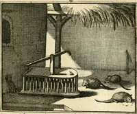 An illustration from Sinryke fabulen : verklaart en toegepast tot alderley zeede-lessen, dienstig om waargenoomen te werden in het menschelijke en burgerlijke leeven (1685)