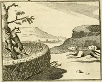 Picture 37 of 140 from Sinryke fabulen : verklaart en toegepast tot alderley zeede-lessen, dienstig om waargenoomen te werden in het menschelijke en burgerlijke leeven (1685), leaf 174
