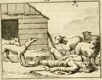 Picture 39 of 140 from Sinryke fabulen : verklaart en toegepast tot alderley zeede-lessen, dienstig om waargenoomen te werden in het menschelijke en burgerlijke leeven (1685), leaf 182