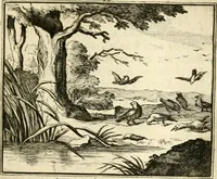 An illustration from Sinryke fabulen : verklaart en toegepast tot alderley zeede-lessen, dienstig om waargenoomen te werden in het menschelijke en burgerlijke leeven (1685)