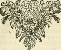 An illustration from Sinryke fabulen : verklaart en toegepast tot alderley zeede-lessen, dienstig om waargenoomen te werden in het menschelijke en burgerlijke leeven (1685)