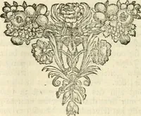 An illustration from Sinryke fabulen : verklaart en toegepast tot alderley zeede-lessen, dienstig om waargenoomen te werden in het menschelijke en burgerlijke leeven (1685)