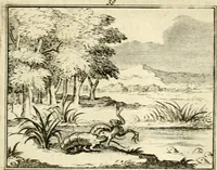 An illustration from Sinryke fabulen : verklaart en toegepast tot alderley zeede-lessen, dienstig om waargenoomen te werden in het menschelijke en burgerlijke leeven (1685)
