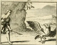 Picture 52 of 140 from Sinryke fabulen : verklaart en toegepast tot alderley zeede-lessen, dienstig om waargenoomen te werden in het menschelijke en burgerlijke leeven (1685), leaf 238