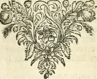 An illustration from Sinryke fabulen : verklaart en toegepast tot alderley zeede-lessen, dienstig om waargenoomen te werden in het menschelijke en burgerlijke leeven (1685)