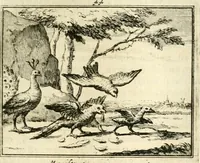 An illustration from Sinryke fabulen : verklaart en toegepast tot alderley zeede-lessen, dienstig om waargenoomen te werden in het menschelijke en burgerlijke leeven (1685)