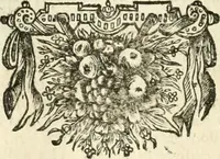An illustration from Sinryke fabulen : verklaart en toegepast tot alderley zeede-lessen, dienstig om waargenoomen te werden in het menschelijke en burgerlijke leeven (1685)