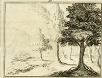 An illustration from Sinryke fabulen : verklaart en toegepast tot alderley zeede-lessen, dienstig om waargenoomen te werden in het menschelijke en burgerlijke leeven (1685)