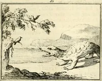 An illustration from Sinryke fabulen : verklaart en toegepast tot alderley zeede-lessen, dienstig om waargenoomen te werden in het menschelijke en burgerlijke leeven (1685)