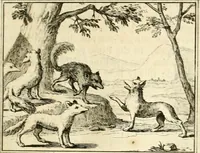 An illustration from Sinryke fabulen : verklaart en toegepast tot alderley zeede-lessen, dienstig om waargenoomen te werden in het menschelijke en burgerlijke leeven (1685)