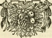 An illustration from Sinryke fabulen : verklaart en toegepast tot alderley zeede-lessen, dienstig om waargenoomen te werden in het menschelijke en burgerlijke leeven (1685)
