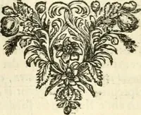 An illustration from Sinryke fabulen : verklaart en toegepast tot alderley zeede-lessen, dienstig om waargenoomen te werden in het menschelijke en burgerlijke leeven (1685)