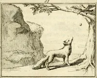 An illustration from Sinryke fabulen : verklaart en toegepast tot alderley zeede-lessen, dienstig om waargenoomen te werden in het menschelijke en burgerlijke leeven (1685)