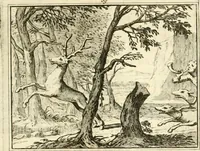 An illustration from Sinryke fabulen : verklaart en toegepast tot alderley zeede-lessen, dienstig om waargenoomen te werden in het menschelijke en burgerlijke leeven (1685)
