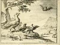 Picture 101 of 140 from Sinryke fabulen : verklaart en toegepast tot alderley zeede-lessen, dienstig om waargenoomen te werden in het menschelijke en burgerlijke leeven (1685), leaf 472
