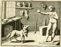 Picture 105 of 140 from Sinryke fabulen : verklaart en toegepast tot alderley zeede-lessen, dienstig om waargenoomen te werden in het menschelijke en burgerlijke leeven (1685), leaf 498