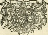 An illustration from Sinryke fabulen : verklaart en toegepast tot alderley zeede-lessen, dienstig om waargenoomen te werden in het menschelijke en burgerlijke leeven (1685)