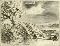An illustration from Sinryke fabulen : verklaart en toegepast tot alderley zeede-lessen, dienstig om waargenoomen te werden in het menschelijke en burgerlijke leeven (1685)