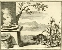 Picture 122 of 140 from Sinryke fabulen : verklaart en toegepast tot alderley zeede-lessen, dienstig om waargenoomen te werden in het menschelijke en burgerlijke leeven (1685), leaf 634