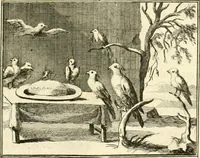 Picture 130 of 140 from Sinryke fabulen : verklaart en toegepast tot alderley zeede-lessen, dienstig om waargenoomen te werden in het menschelijke en burgerlijke leeven (1685), leaf 682