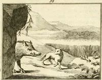 An illustration from Sinryke fabulen : verklaart en toegepast tot alderley zeede-lessen, dienstig om waargenoomen te werden in het menschelijke en burgerlijke leeven (1685)