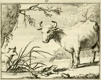 An illustration from Sinryke fabulen : verklaart en toegepast tot alderley zeede-lessen, dienstig om waargenoomen te werden in het menschelijke en burgerlijke leeven (1685)