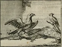 An illustration from Sinryke fabulen : verklaart en toegepast tot alderley zeede-lessen, dienstig om waargenoomen te werden in het menschelijke en burgerlijke leeven (1685)